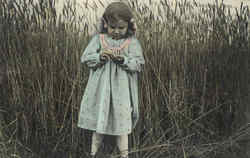 Girl in Wheat Field Postcard