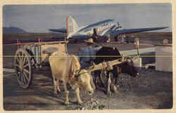 American Airlines Flagship - Mexico Aircraft Postcard Postcard