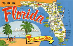 Florida The Sunshine State Postcard