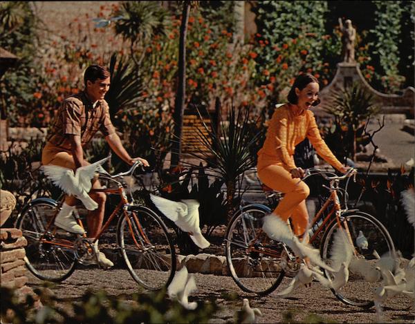 Schwinn 10-Speed Adult Bicycles Modern (1970's to Present)