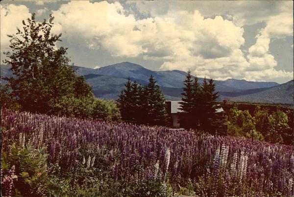 Connecticut Coke Coal Advertising