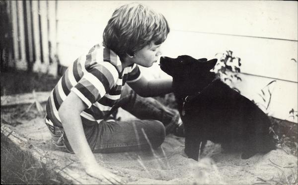 The Tragic Tale of the Dog Who Killed Himself Advertising