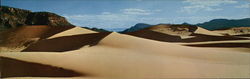Sand Dune Kanab, UT Large Format Postcard Large Format Postcard