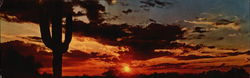 Southwestern Sunset Arizona Large Format Postcard Large Format Postcard