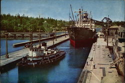 Government Locks Large Format Postcard