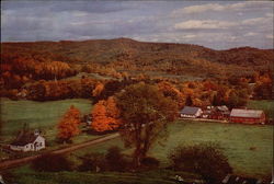 Autumn Foliage in Vermont Scenic, VT Large Format Postcard Large Format Postcard