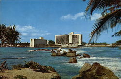 Caribe Hilton Hotel Large Format Postcard