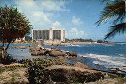 Caribe Hilton Hotel Large Format Postcard