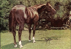 Beaver Burnett, Perfection Acres Beaver Burnett, Perfection Acres