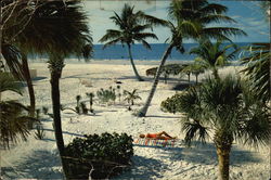 Beach Scene Florida Large Format Postcard Large Format Postcard