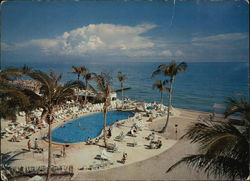 Tropical Coast of Florida Large Format Postcard