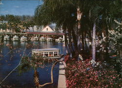 Safe, Electrically Propelled Glass Bottom Boats Silver Springs, FL Large Format Postcard Large Format Postcard