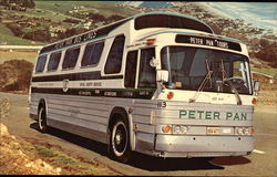 Stock #311257 Thumbnail