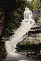 Dingmans Falls Large Format Postcard