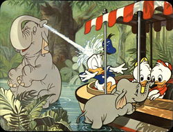 Playful Pachyderms Large Format Postcard