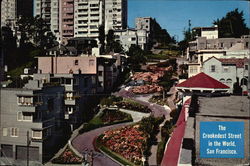 Lombard Street - Crookedest Street in the World Large Format Postcard