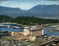 Stock #311522 Thumbnail