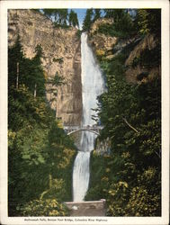 Multnomah Falls, Benson Foot Bridge, Columbia River Highway Large Format Postcard