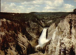 Lower Falls from Moran Point - Yellowstone National Park Wyoming Large Format Postcard Large Format Postcard