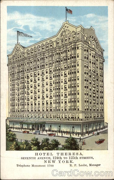 Hotel Theresa New York