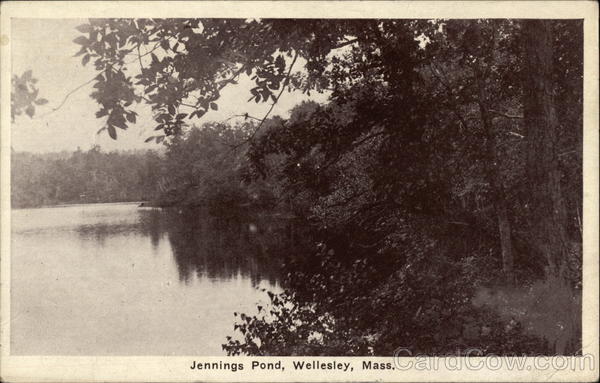 Jennings Pond Wellesley Massachusetts