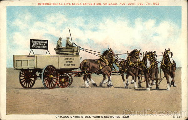 Chicago Union Stock Yard's Six Horse Team Illinois