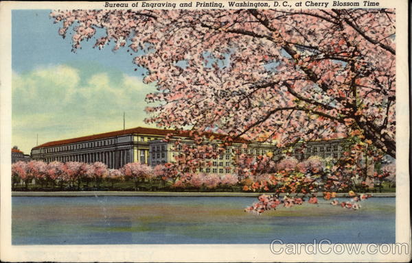 Bureau of Engraving and Printingm at Cherry Blossom TIme Washington District of Columbia