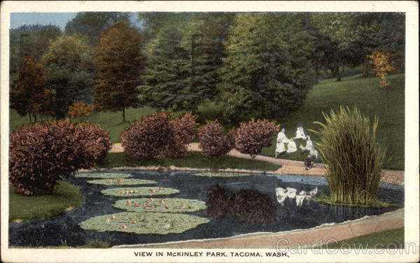 Lily Pond in McKinley Park Tacoma Washington