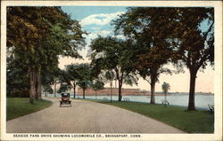 Seaside Park Drive showing Locomobile Co Postcard