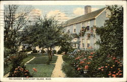Tea Garden Nantucket, MA Postcard Postcard