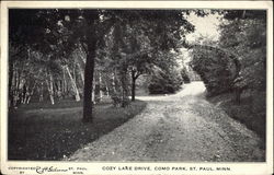 Cozy Lake Drive - Como Park Postcard