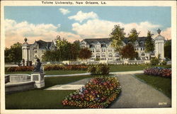 Tulane University Postcard