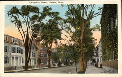 Chestnut Street Postcard