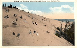 Sliding and Climbing Sandhills, Cape Henry Norfolk, VA Postcard Postcard