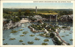 Brackenridge Park - Sunken Garden Postcard