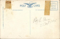 back
