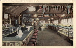 The Gift Shop and Fountain, Polar Caves Rumney, NH Postcard Postcard