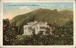 Pretty Home in the Hills Los Angeles, CA Postcard Postcard