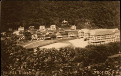 Profile House Postcard