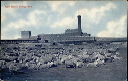 Sugar Factory Billings, MT Postcard Postcard