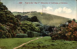 Trail to the "Big C", University of California Berkeley, CA Postcard Postcard