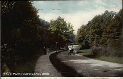 Scene in Wade Park Postcard