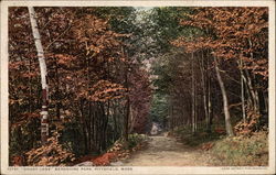 "Shady Lane" Berkshire Park Pittsfield, MA Postcard Postcard