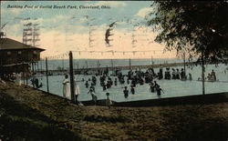 Bathing Pool at Euclid Beach Park Postcard