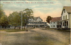 Catskills Mts. View of Main St, showing Irvington Hotel Woodstock, NY Postcard Postcard