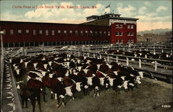 Cattle Pens at Live Stock Yards, East St. Louis Missouri Postcard Postcard