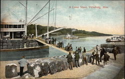 A Levee Scene Vicksburg, MS Postcard Postcard