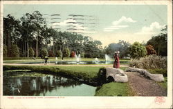 View in Riverside Park Postcard
