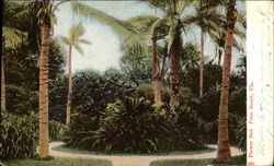Flower Bed Palm Beach, FL Postcard Postcard