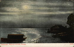 Moonlight Indian River, FL Postcard Postcard